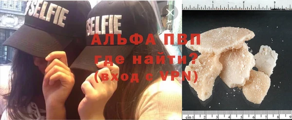 стаф Медвежьегорск