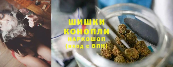 прущие крисы Мегион
