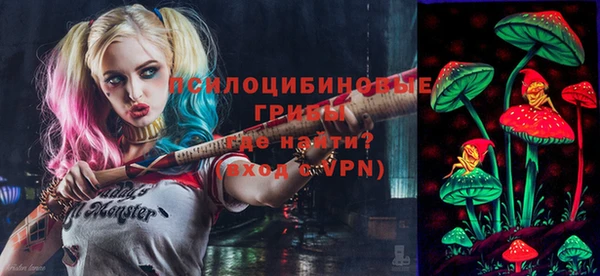 стаф Медвежьегорск