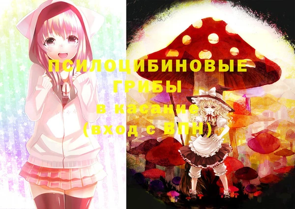 прущие крисы Мегион