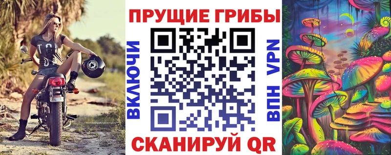Галлюциногенные грибы Psilocybine cubensis  Мирный 