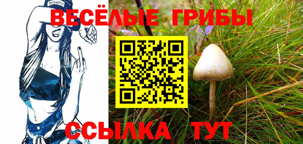 Галлюциногенные грибы ЛСД  Псилоцибиновые грибы Magic Shrooms  наркошоп  Мирный  Вход с VPN 