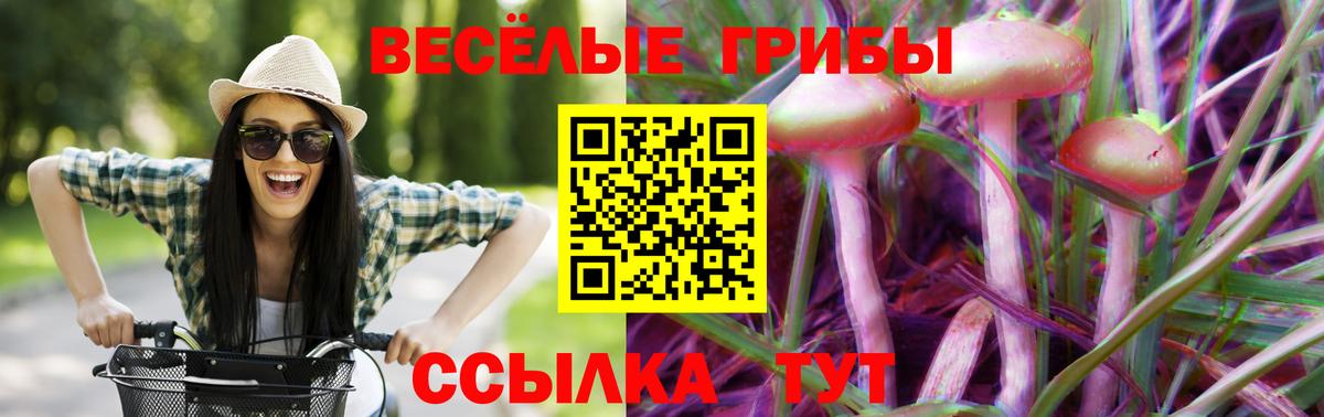 Псилоцибиновые грибы Psilocybine cubensis Мирный
